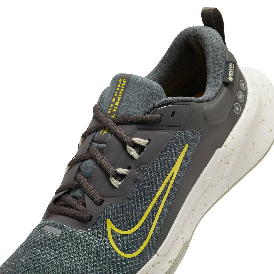 Juniper Trail 2 GORE-TEX V2 Erkek Koşu Ayakkabısı