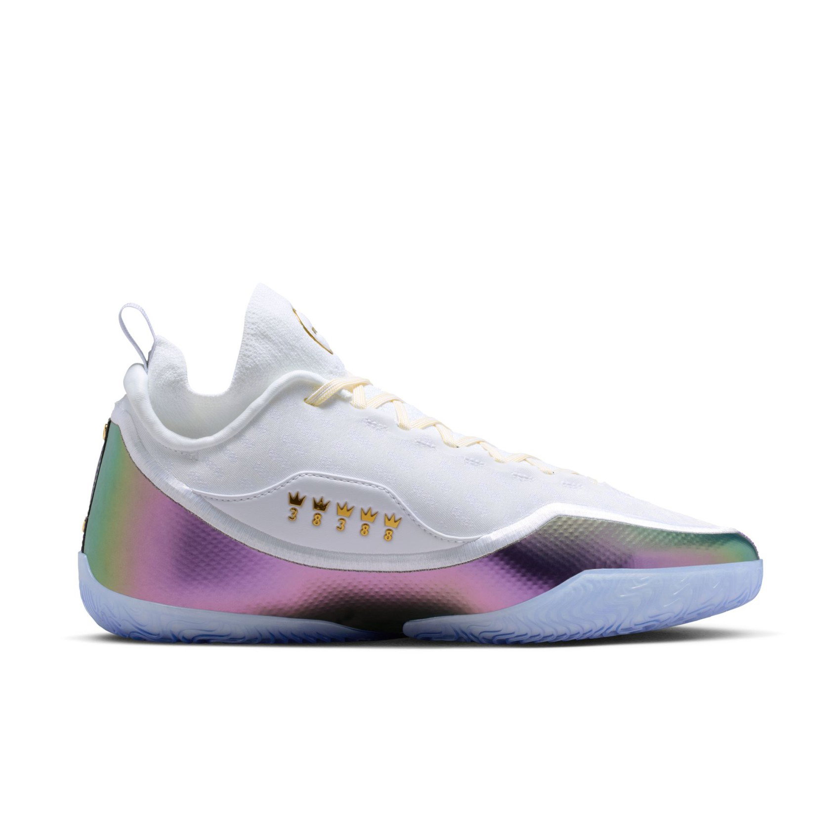 Nike Lebron 23 Elite For the Record Erkek Basketbol Ayakkabısı