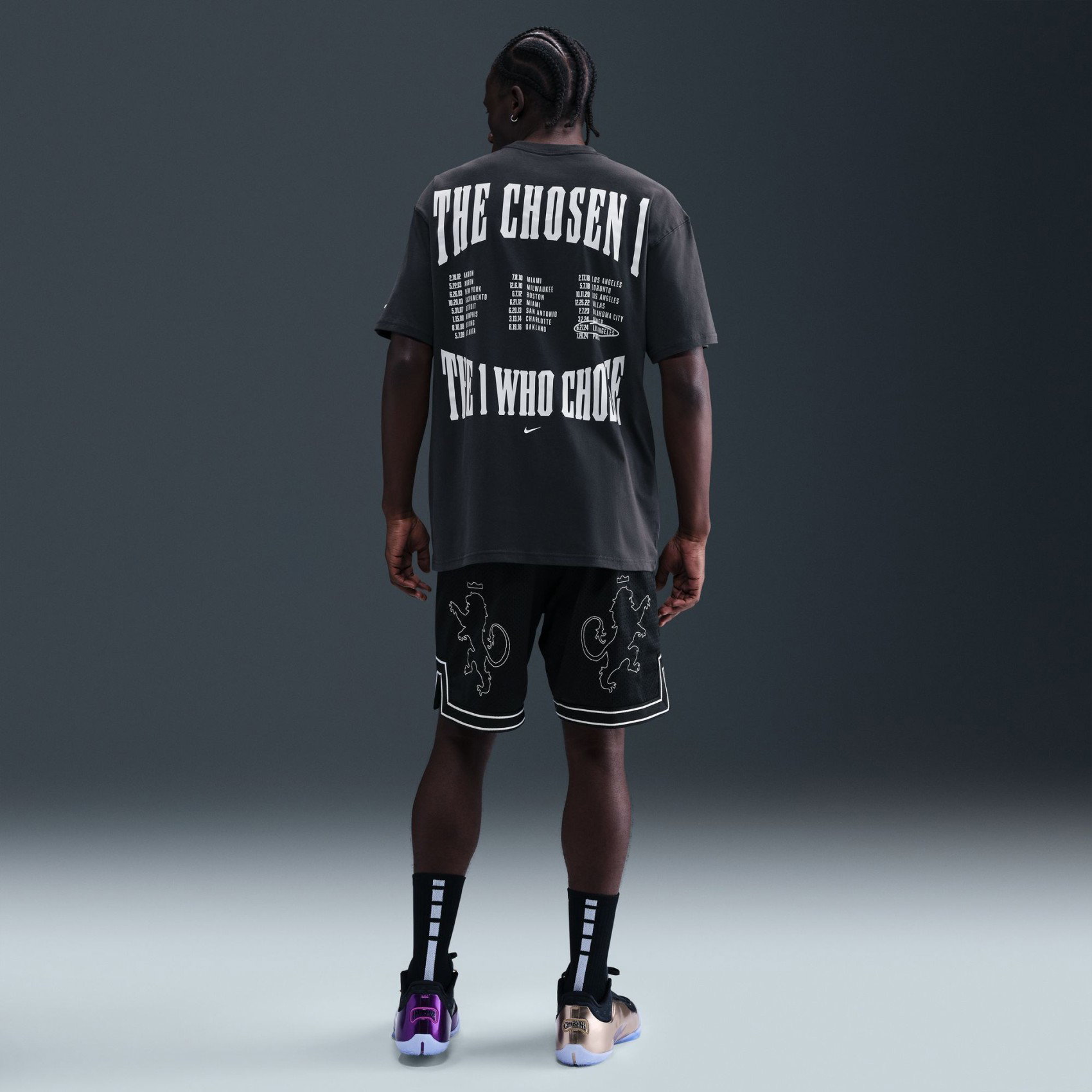 Nike LeBron Chosen One Max90 Erkek Tişört IH8540-045