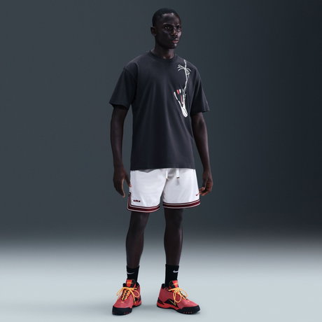 NIKE - LeBron 'Grand Opening' Max90 Tee Erkek Tişört (1)