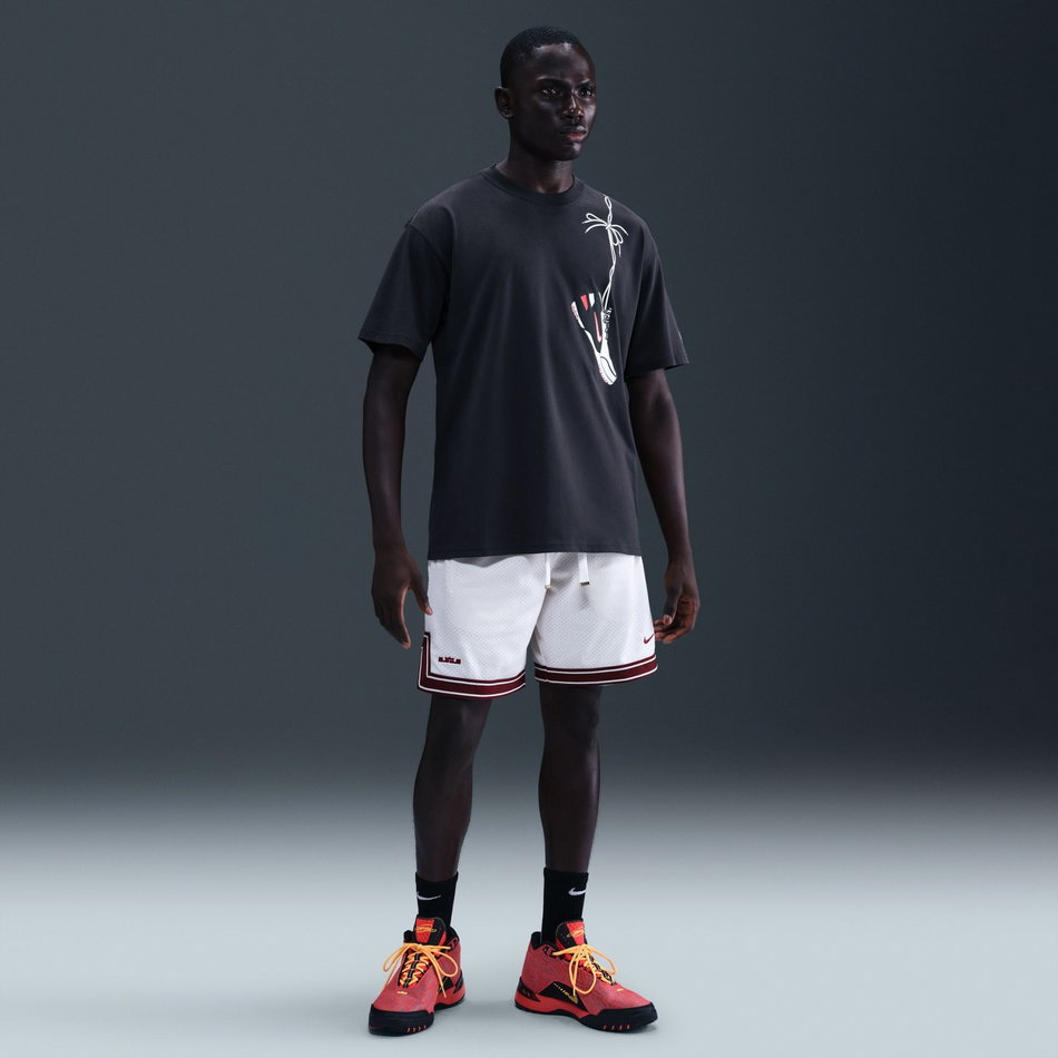 LeBron 'Grand Opening' Max90 Tee Erkek Tişört