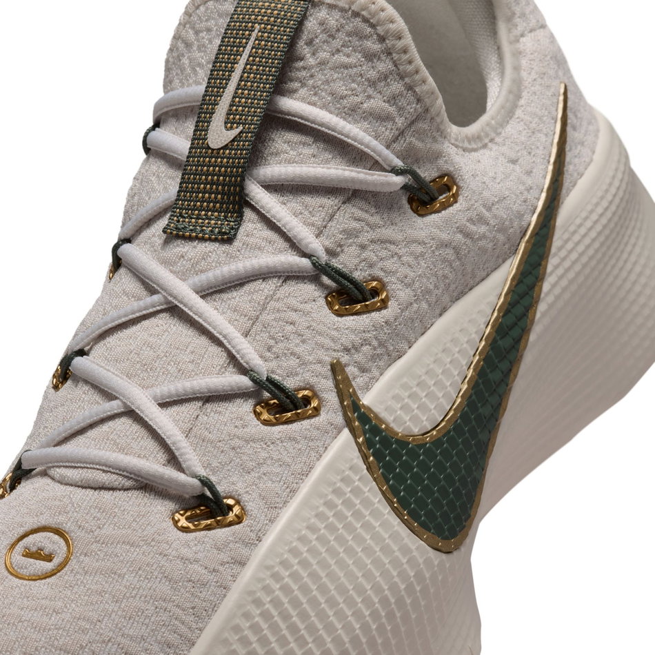 LeBron Tr 1 Erkek Fitness Ayakkabısı