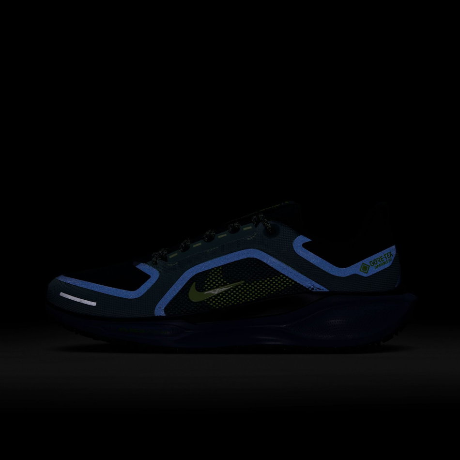 Pegasus 41 GORE-TEX 'Cannon Obsidian' Erkek Koşu Ayakkabısı