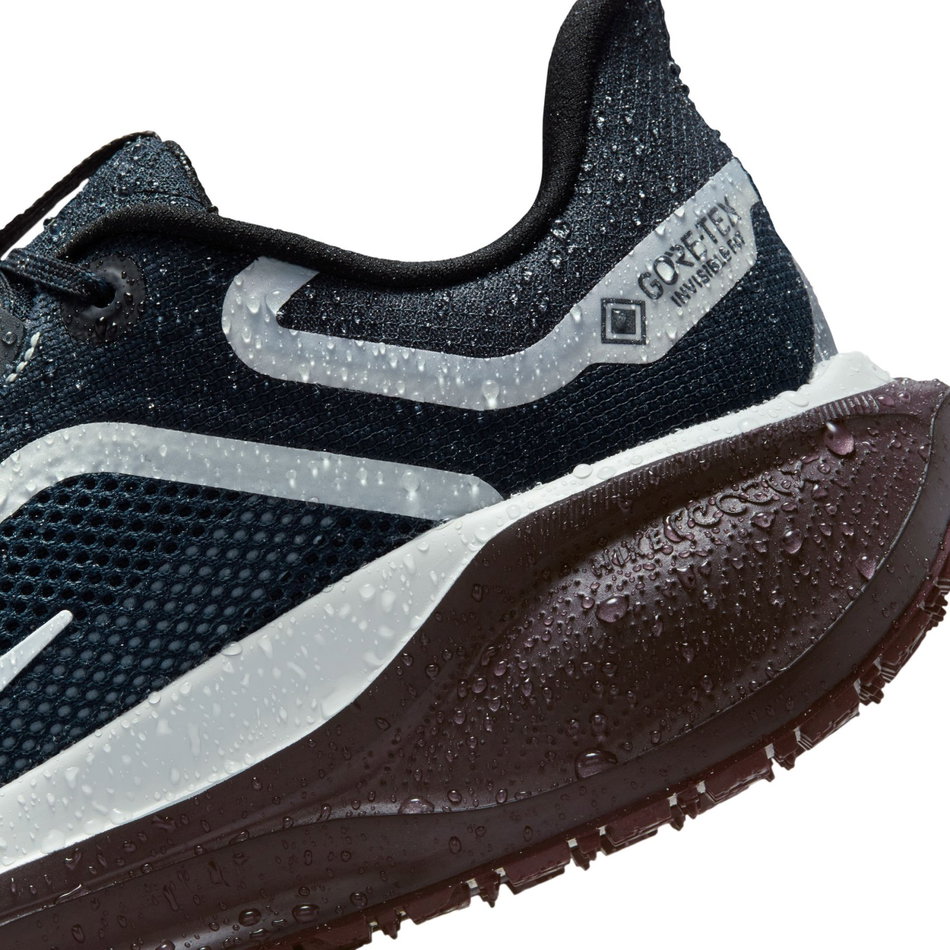 Pegasus 41 GORE-TEX Kadın Koşu Ayakkabısı