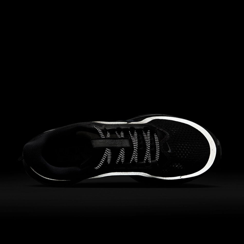 Pegasus Premium 'Black Metallic Silver' Kadın Koşu Ayakkabısı