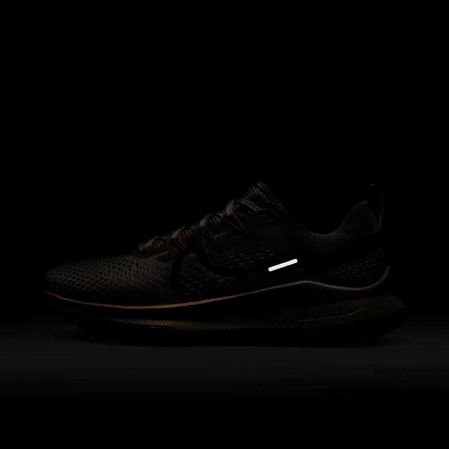 Nike Pegasus Trail 4 Kadın Koşu Ayakkabısı