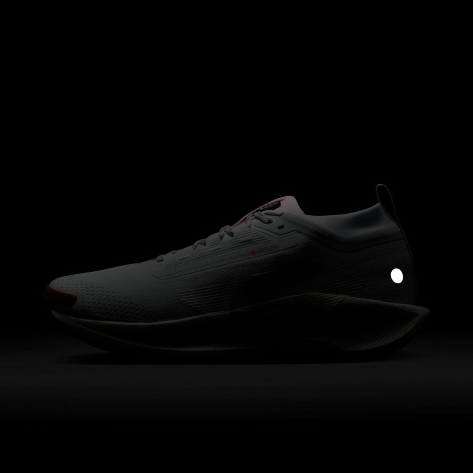 Pegasus Trail 5 GORE-TEX Erkek Koşu Ayakkabısı