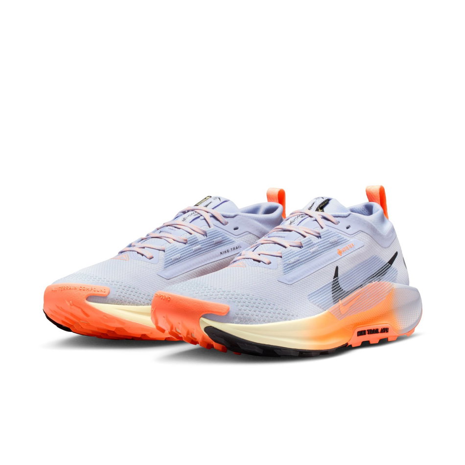 Pegasus Trail 5 GORE-TEX Erkek Koşu Ayakkabısı