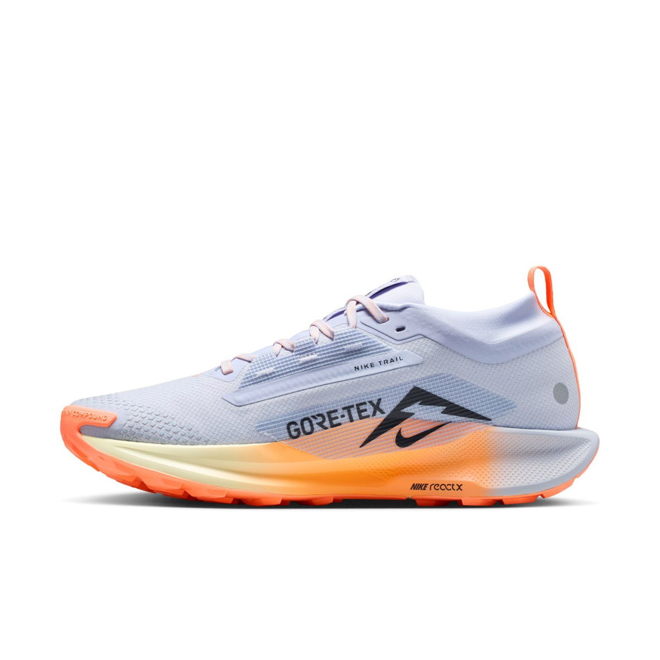 Pegasus Trail 5 GORE-TEX Erkek Koşu Ayakkabısı