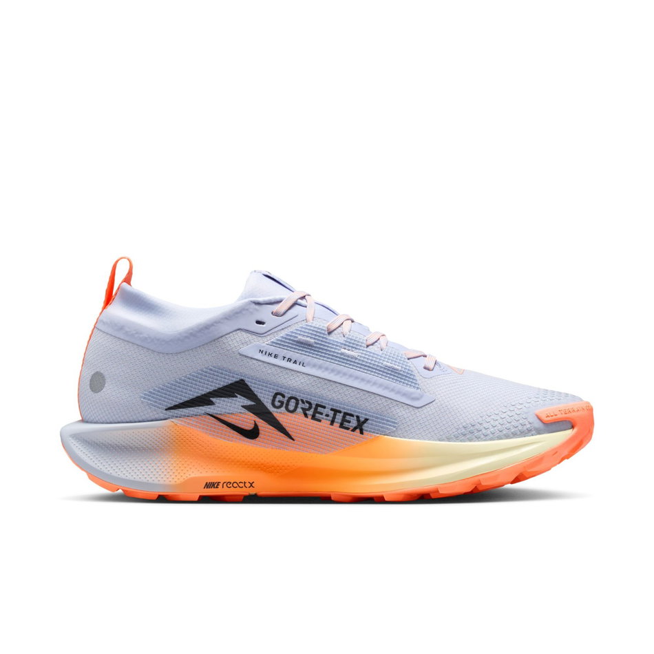 Pegasus Trail 5 GORE-TEX Erkek Koşu Ayakkabısı