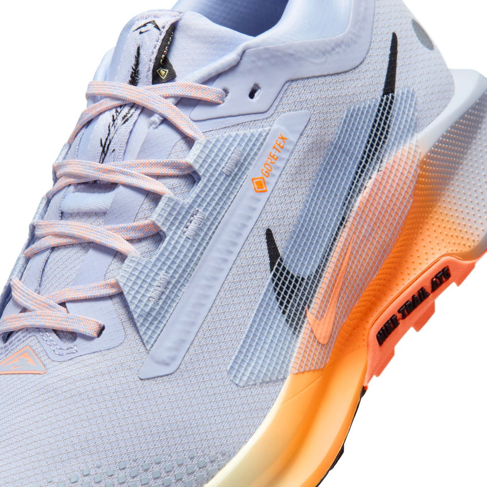 Pegasus Trail 5 GORE-TEX Erkek Koşu Ayakkabısı