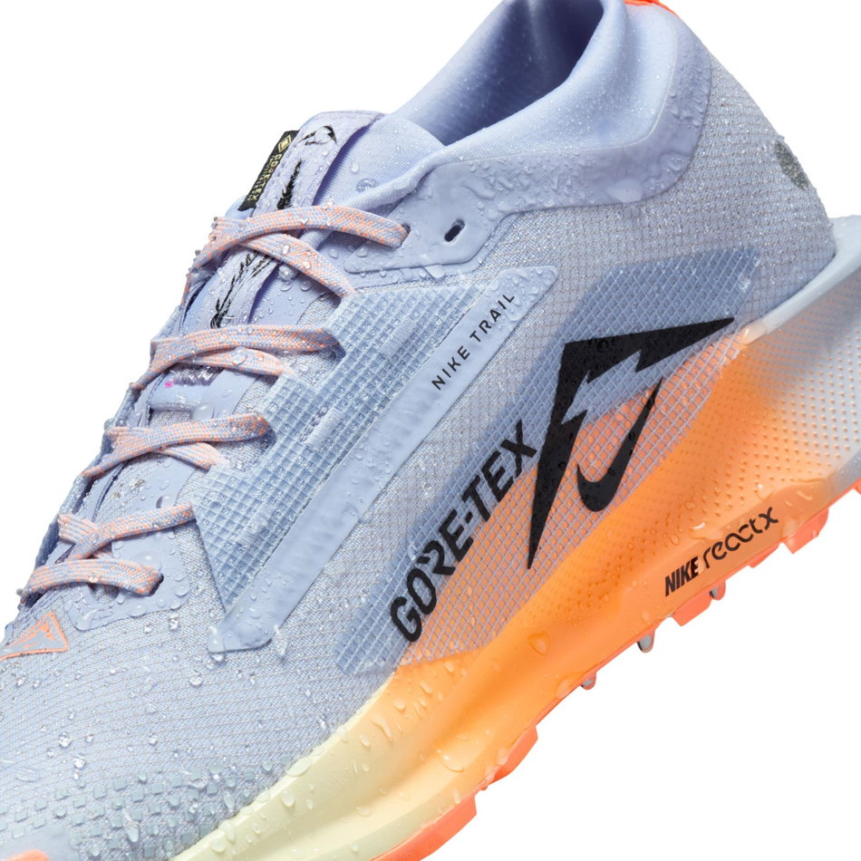Pegasus Trail 5 GORE-TEX Erkek Koşu Ayakkabısı