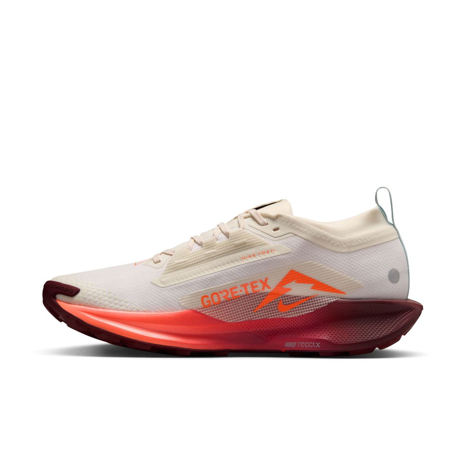 Pegasus Trail 5 GORE-TEX Erkek Koşu Ayakkabısı