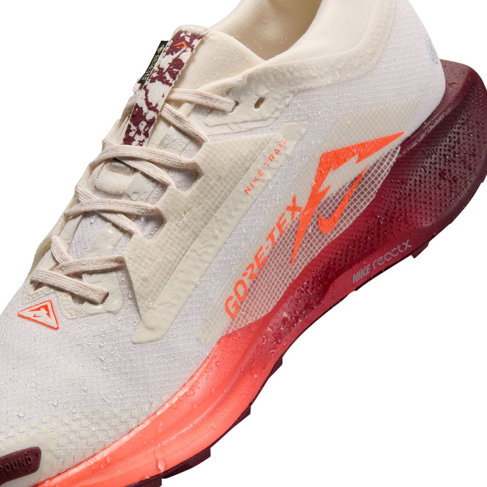 Pegasus Trail 5 GORE-TEX Erkek Koşu Ayakkabısı
