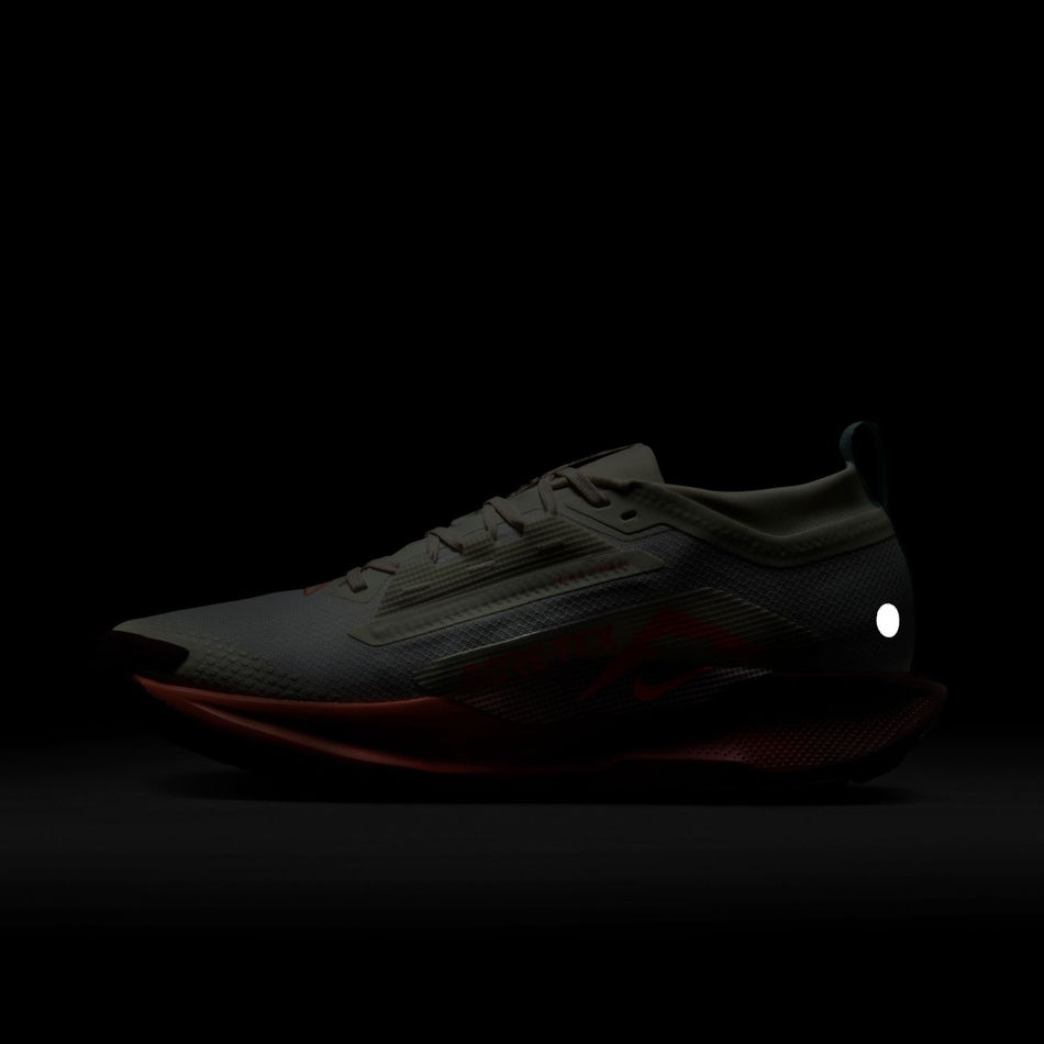 Pegasus Trail 5 GORE-TEX Erkek Koşu Ayakkabısı