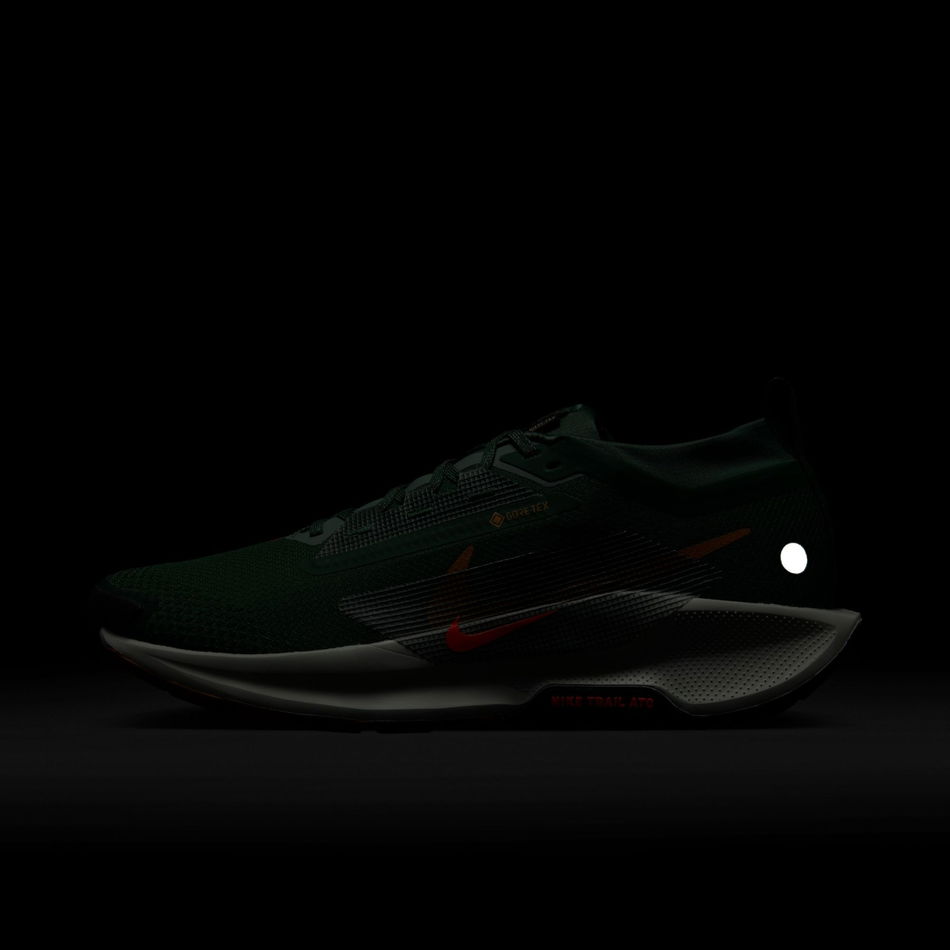 Pegasus Trail 5 GORE-TEX Erkek Yeşil Koşu Ayakkabısı