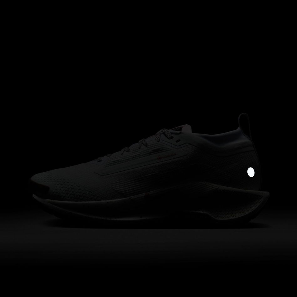 Pegasus Trail 5 GORE-TEX Kadın Koşu Ayakkabısı