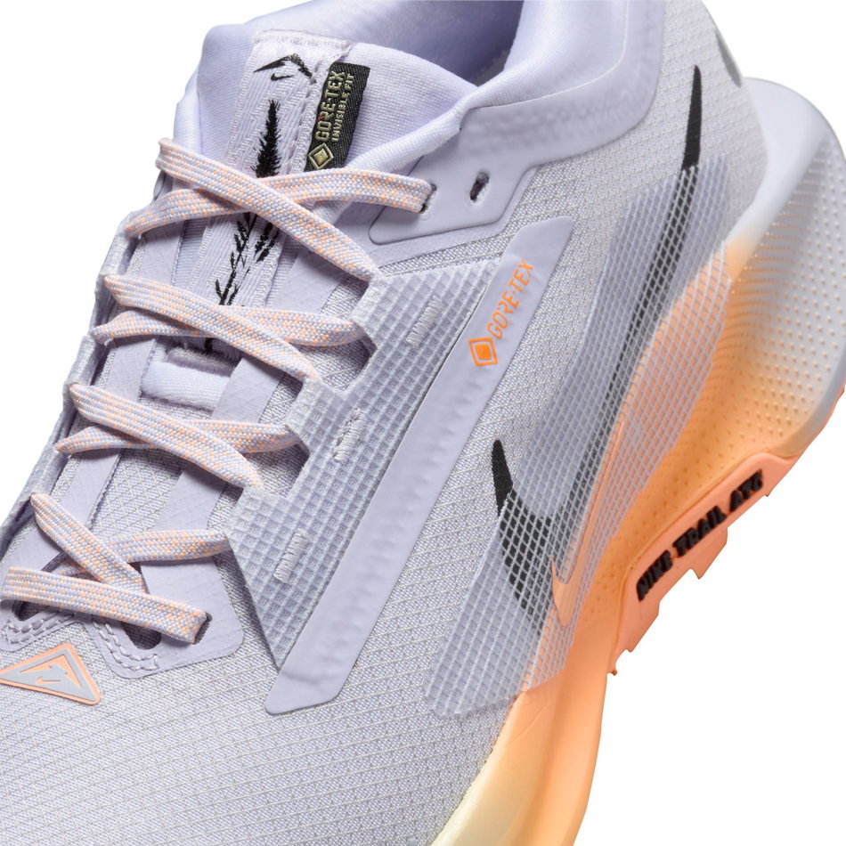 Pegasus Trail 5 GORE-TEX Kadın Koşu Ayakkabısı
