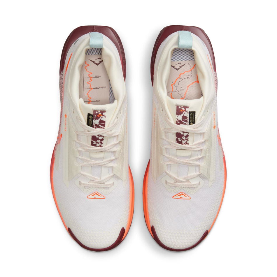 Pegasus Trail 5 GORE-TEX Kadın Koşu Ayakkabısı