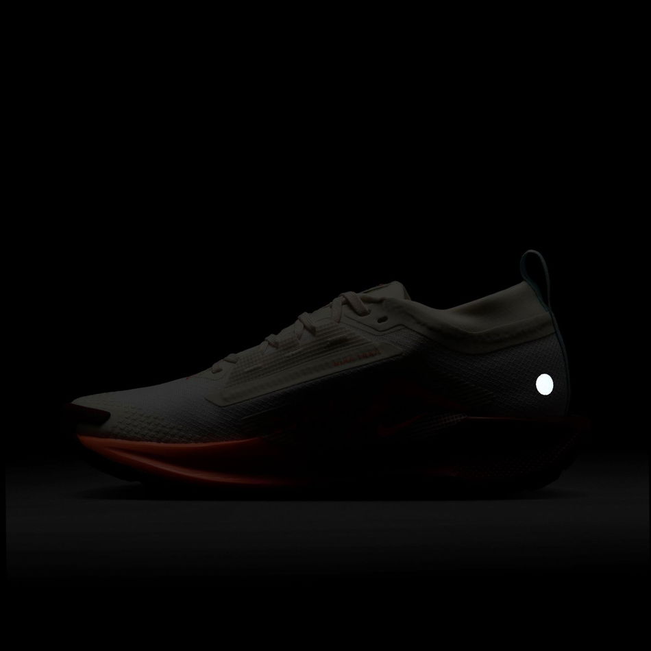 Pegasus Trail 5 GORE-TEX Kadın Koşu Ayakkabısı