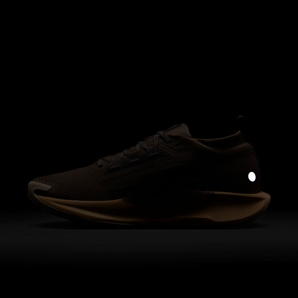 Pegasus Trail 5 GORE-TEX Kadın Koşu Ayakkabısı