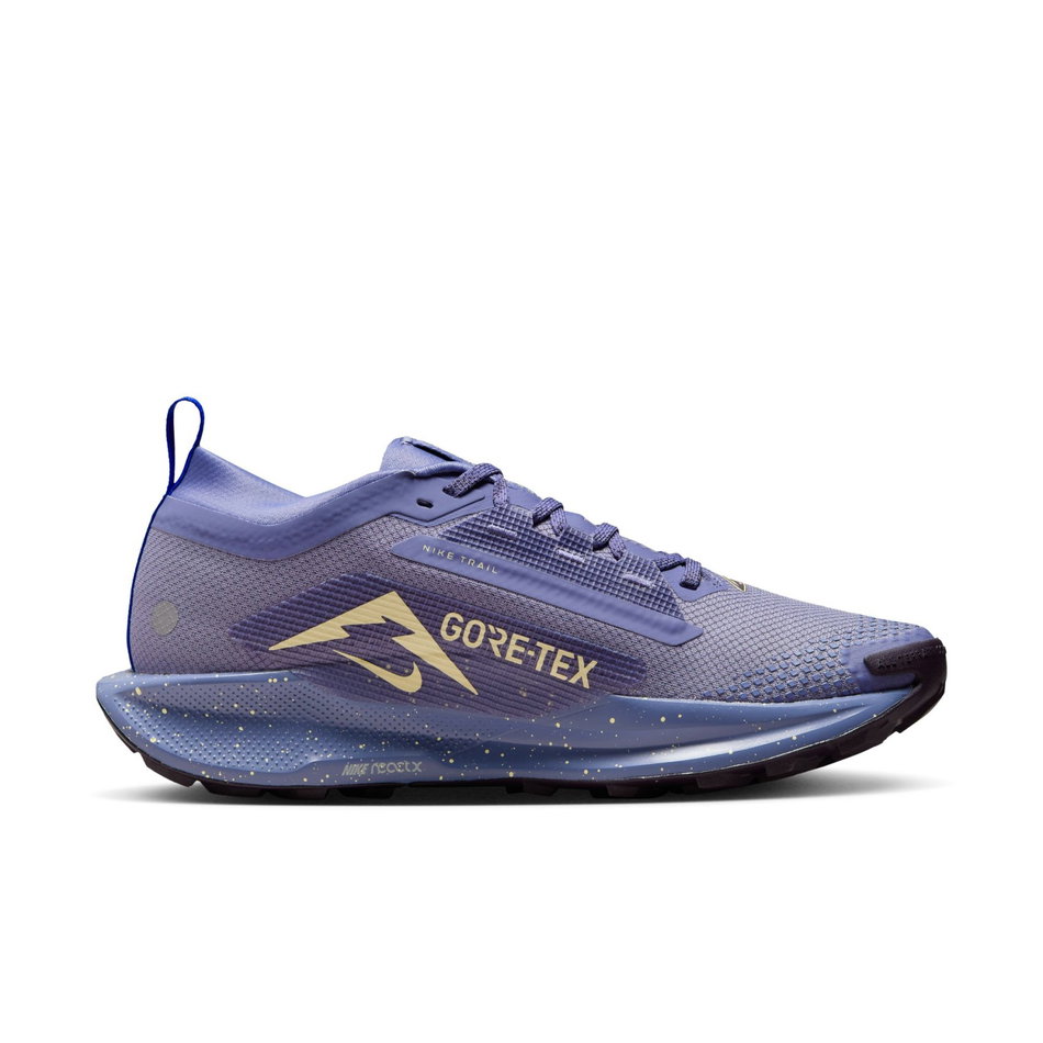 Pegasus Trail 5 GORE-TEX Kadın Koşu Ayakkabısı