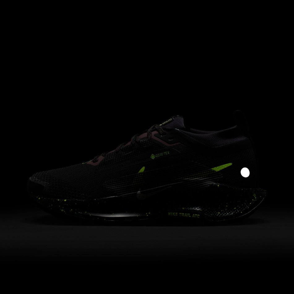 Pegasus Trail 5 GORE-TEX Kadın Siyah Koşu Ayakkabısı