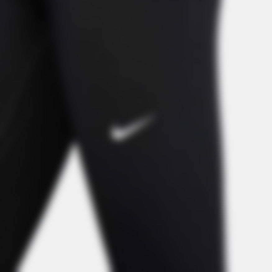 Nike Pro 365 Tight Kadın Tayt