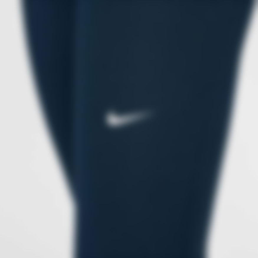 Nike Pro 365 Tight Kadın Tayt