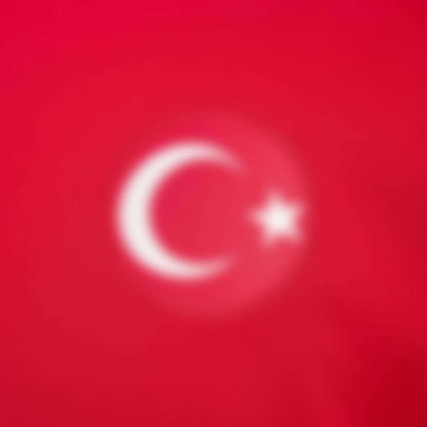 Türkiye Milli Takım 2024/25 Erkek Kırmızı Seramoni Ceket